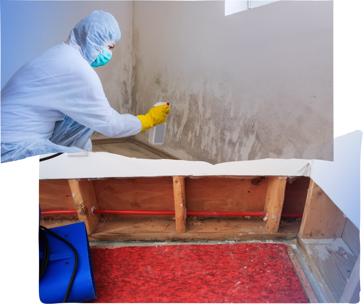 Los Angeles Smoke & Fire Damage Restoration Experts (3)