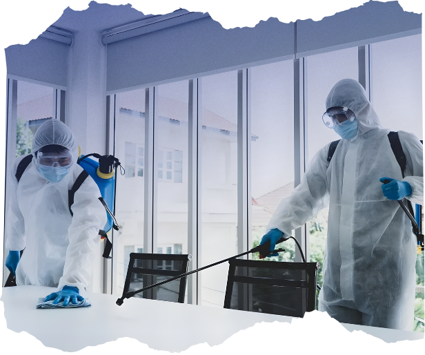 Electrostatic Disinfectant Services (1) Electrostatic Disinfectant Services (1)