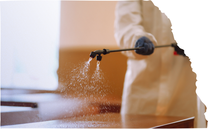 Electrostatic Disinfectant Services (6) Electrostatic Disinfectant Services (6)