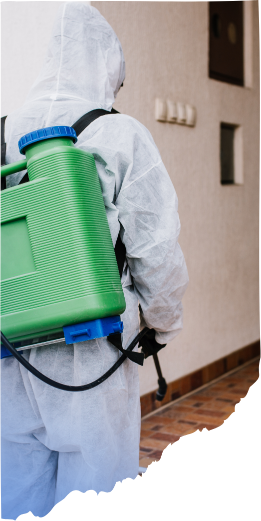 Electrostatic Disinfectant Services in Santa Clarita, CA (6)