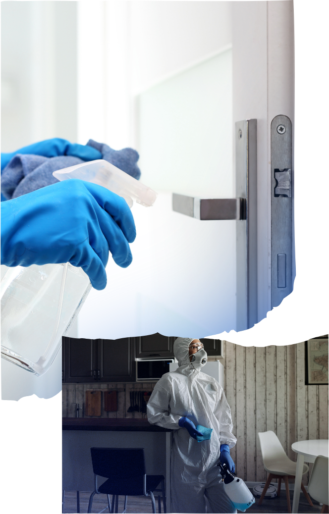 Electrostatic Disinfectant Services in Santa Clarita, CA (8)