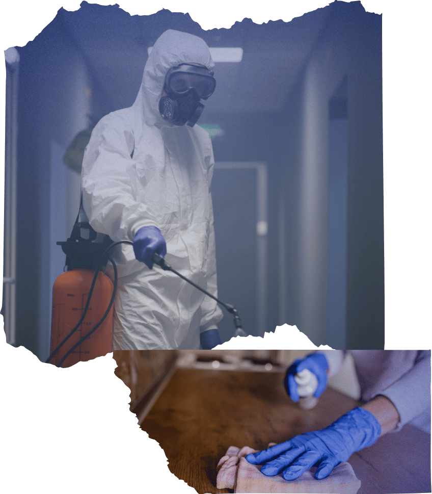 Electrostatic Disinfectant Services in Santa Clarita CA 5 1