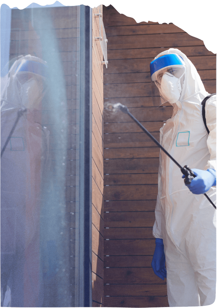 Electrostatic Disinfectant Services in Santa Clarita CA 7 1
