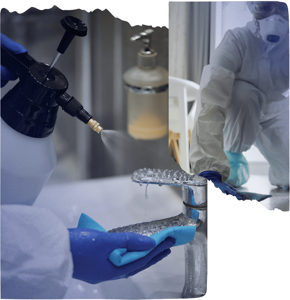 Electrostatic Disinfectant Services in Woodland hills CA 3 1