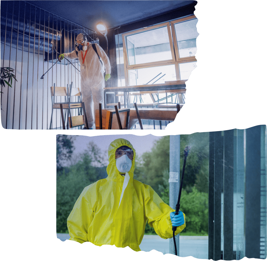 Electrostatic Disinfectant Services in Woodland hills CA 6 1