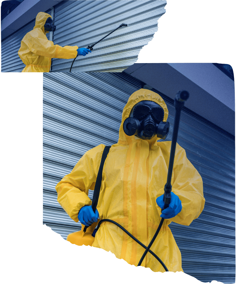 Electrostatic Disinfectant Services in Woodland hills CA 7 (1) 1