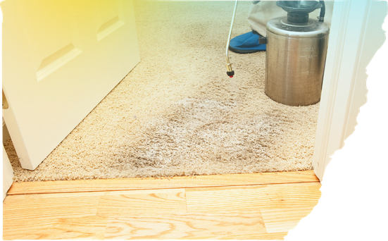 Carpet Cleaning Services (5) Carpet Cleaning Services (5)