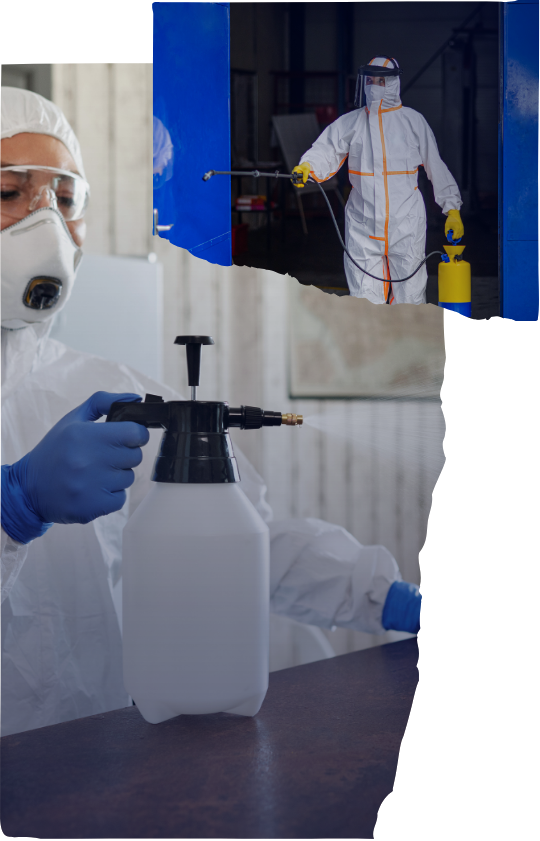 Electrostatic Disinfectant Services in Woodland Hills, CA