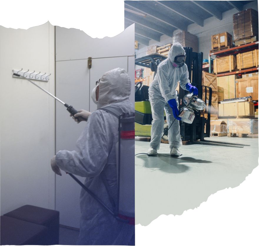 Electrostatic Disinfectant Services (8) Electrostatic Disinfectant Services (8)